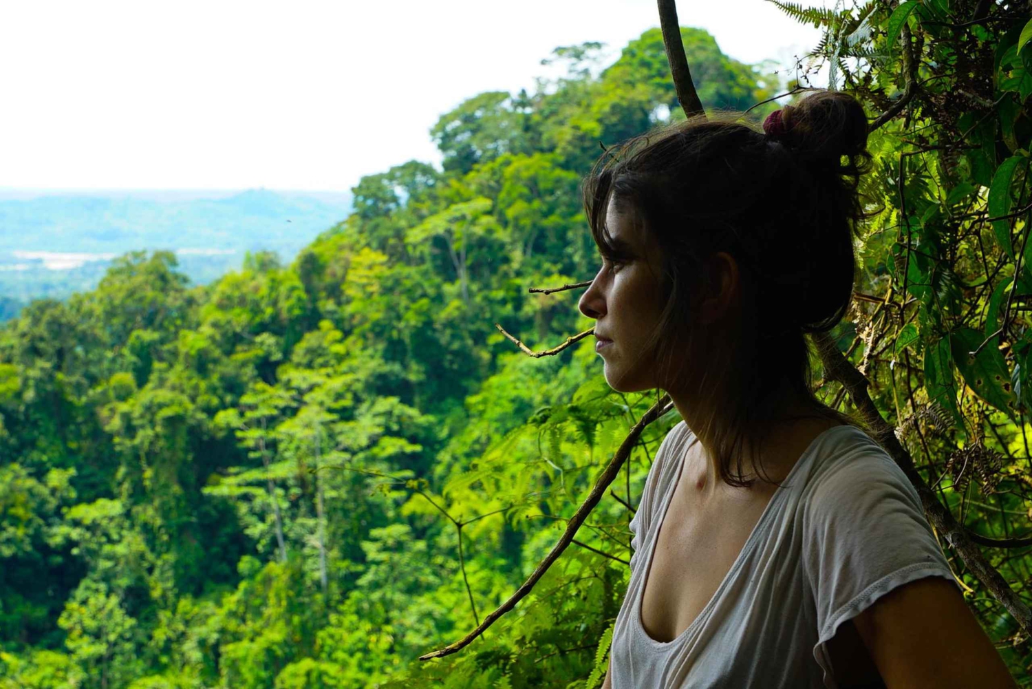 360° dagtour Jungletour Expeditie Amazone Ecuador