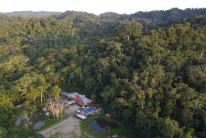 360° dagtour Jungletour Expeditie Amazone Ecuador