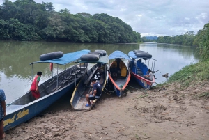 360° dagtour Jungletour Expeditie Amazone Ecuador