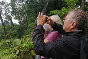 360 Jungle Tour Ekspedition Amazonia Ecuador