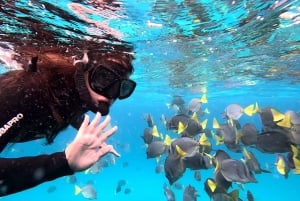 360 Tour di un giorno dell'Isola di San Cristobal