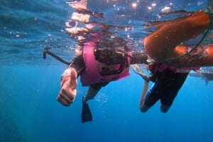 Excursion d'une journée sur l'île de San Cristobal (360)