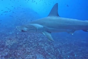 360 Tour di un giorno dell'Isola di San Cristobal