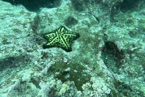 360 Tour di un giorno dell'Isola di San Cristobal