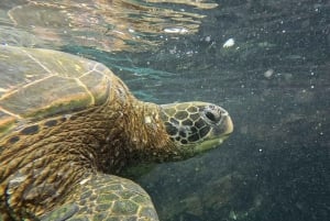 360 Tour di un giorno dell'Isola di San Cristobal