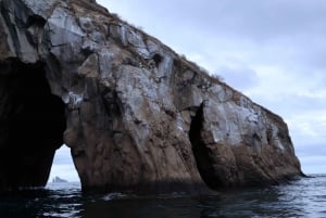 Excursão de um dia à Ilha San Cristobal 360