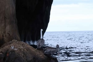 Excursão de um dia à Ilha San Cristobal 360