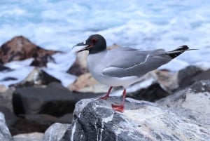 360 San Cristobal Island Day Tour