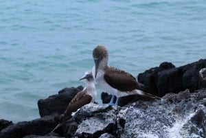 360 San Cristobal Island Day Tour