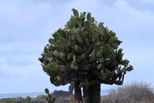 360 San Cristobal Insel Tagestour