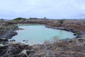 360 Tour di un giorno dell'Isola di San Cristobal