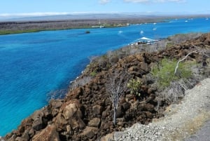 4 dias nas Ilhas Galápagos: excursão guiada à Ilha Santa Cruz
