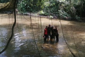 4 Day Jungle Tour Expedition Amazonia All Inclusive