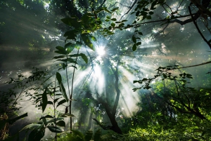 4 Tage 3 Nächte All-Inclusive Cuyabeno Tour + Unterkunft