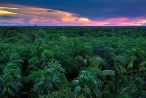 4 Tage 3 Nächte All-Inclusive Cuyabeno Tour + Unterkunft