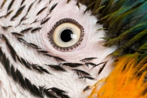 4 Tage 3 Nächte All-Inclusive Cuyabeno Tour + Unterkunft