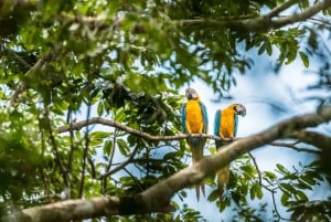 4 Tage 3 Nächte All-Inclusive Cuyabeno Tour + Unterkunft