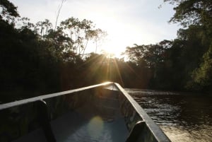 4 dagar Amazon Lodge Cuyabeno Reservat
