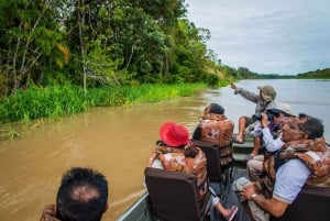 4 dage på Amazon Tena Lodge