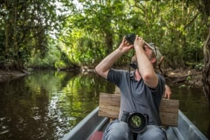 4 أيام. كوتوباكسي-كويلوتوا-بانيوس-ميساهوالي-بابالاكتا