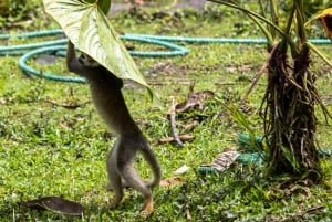 4 أيام. كوتوباكسي-كويلوتوا-بانيوس-ميساهوالي-بابالاكتا