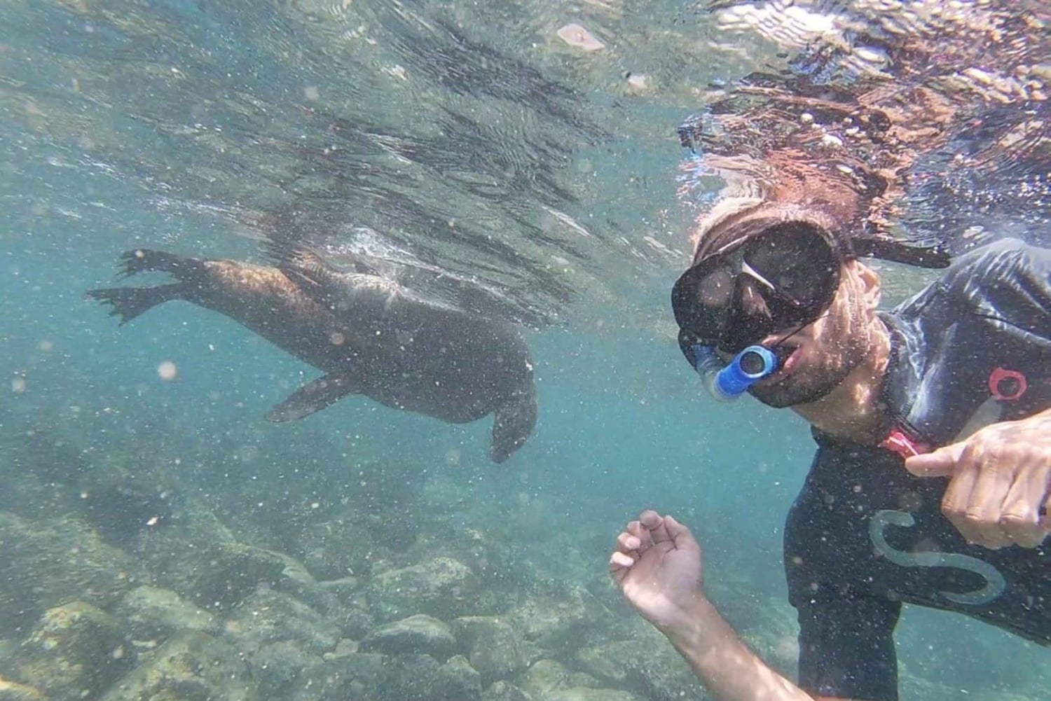 5-dniowa wycieczka na wyspy Galapagos - Santa Cruz i Isabela