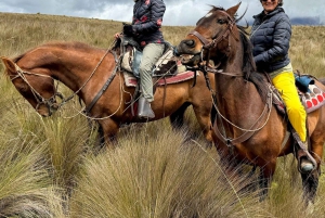 5-Day Galapagos Island Hopping Tour - Santa Cruz & Isabela