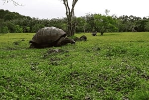 5-dniowa wycieczka na wyspy Galapagos - Santa Cruz i Isabela