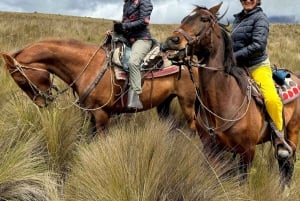 5-dniowa wycieczka na wyspy Galapagos - Santa Cruz i Isabela