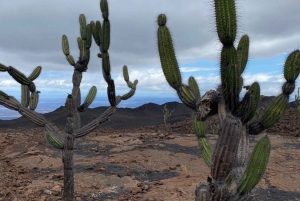 Excursión de 5 días por tierra a Galápagos en Isabela: Excursión en grupo reducido