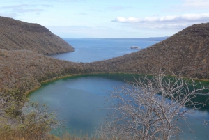 Circuit de 5 jours aux Galápagos à Santa Cruz et Isabela : randonnée avec masque et tuba