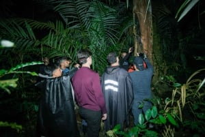 5 Days 4 Nights All-Inclusive Cuyabeno Tour + Accommodation