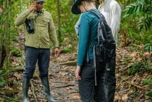 5 Days 4 Nights All-Inclusive Cuyabeno Tour + Accommodation