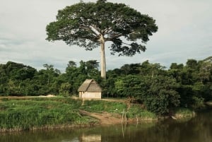 5 Days 4 Nights All-Inclusive Cuyabeno Tour + Accommodation