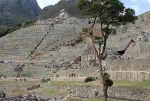 6-Day Tour from Lima: Cusco, Machu Picchu, & Sacred Valley
