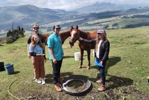A Day with Rescued Horses – Horse Therapy