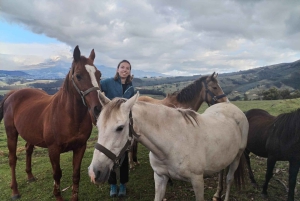 A Day with Rescued Horses – Horse Therapy