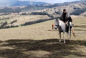 Una giornata con i cavalli salvati - Terapia con i cavalli