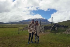 Randonnée à cheval à Cotopaxi (tout compris)