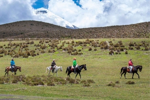 Paardrijden in Cotopaxi alles inbegrepen