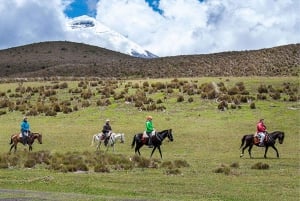 Ridning i Cotopaxi, alt inkludert