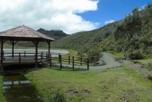 Randonnée à cheval à Cotopaxi (tout compris)