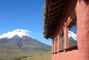 Randonnée à cheval à Cotopaxi (tout compris)