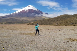All-Inclusive Quito Day Trip to Cotopaxi and Baños