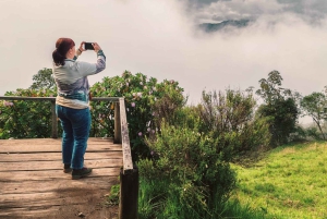 All-Inclusive Quito Day Trip to Cotopaxi and Baños