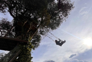 All-Inclusive Quito Day Trip to Cotopaxi and Baños