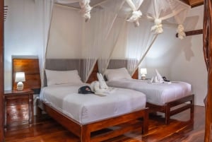 Amazon Adventure: 4 Tage Natur & Kultur ab Quito