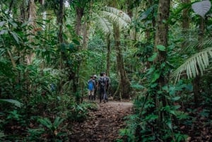 Amazon Adventure: 4 Tage Natur & Kultur ab Quito