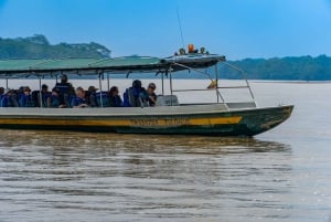 Amazon Adventure: 4 Tage Natur & Kultur ab Quito