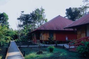 Amazon Adventure: 4 Tage Natur & Kultur ab Quito